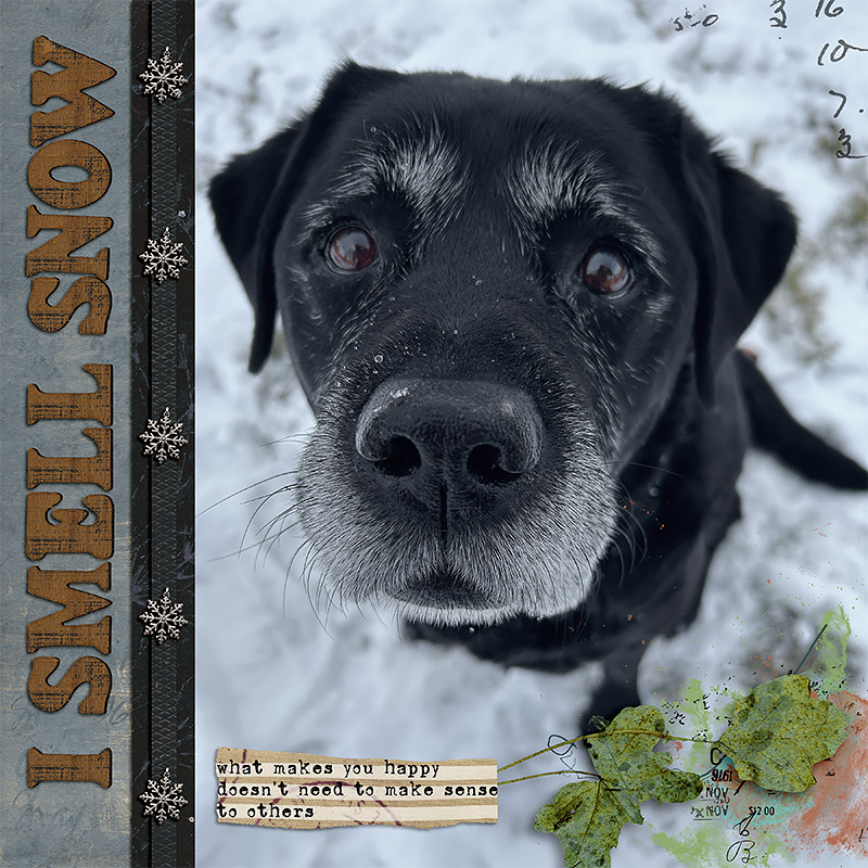I Smell Snow