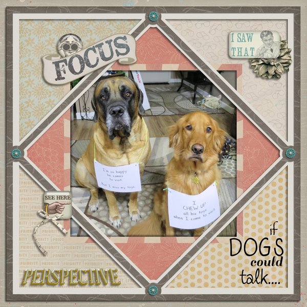 If dogs could talk.