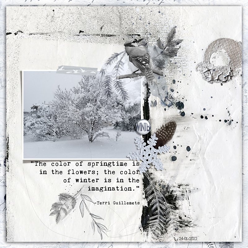 Imagination