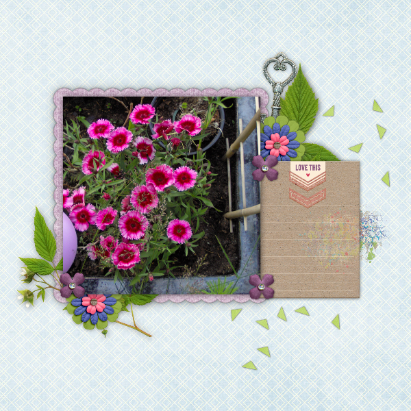 In My Garden