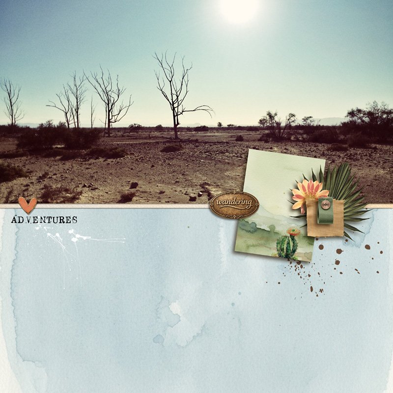 In The Desert
