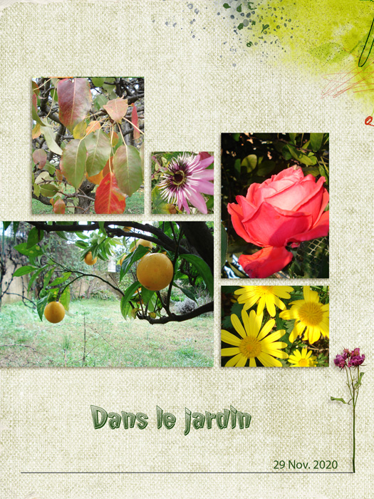 In the Garden
