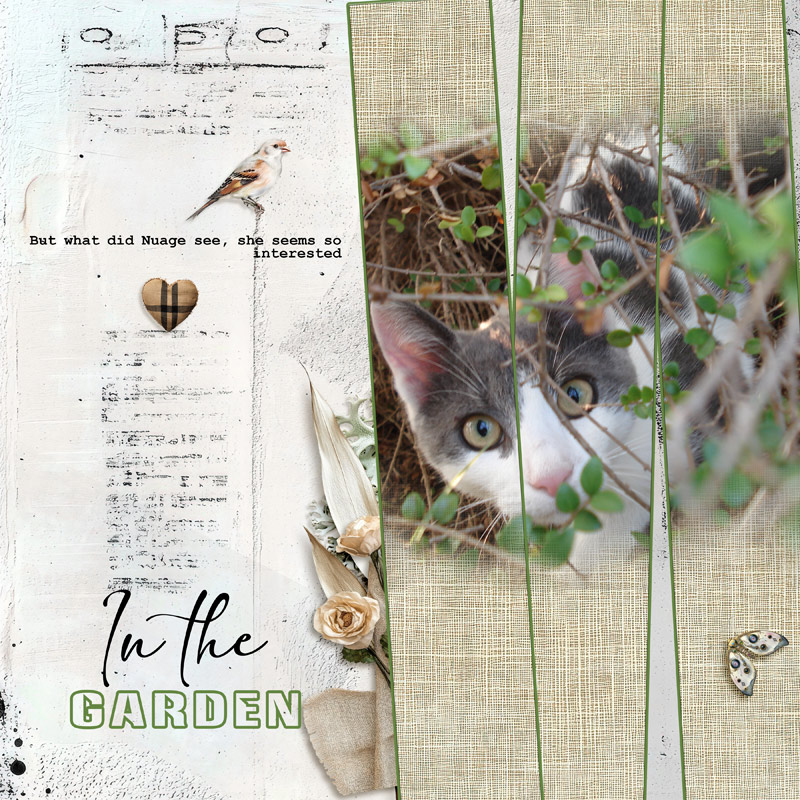 In the Garden