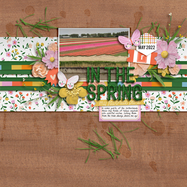 In The Spring