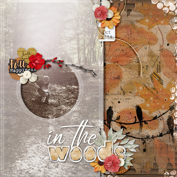 In the woods