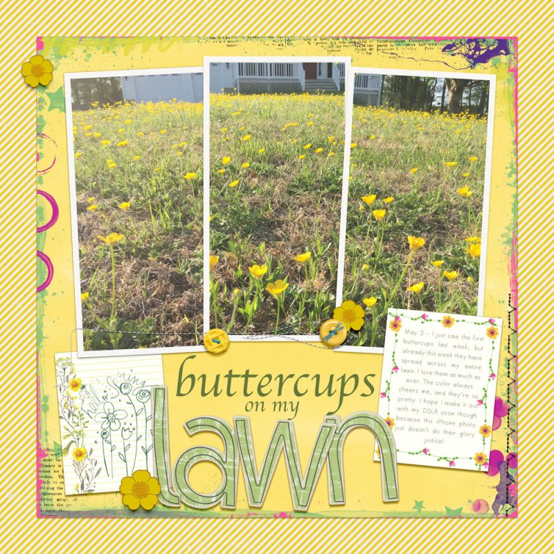 insd slow scrap - buttercups on my lawn