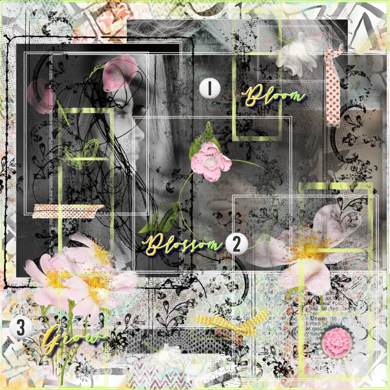Inspiration Challenge-March-3 Different Types/Kinds Of Flowers-Born To Be