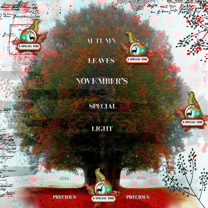 Inspiration Challenge-November 2024-Words-Autumn's Light