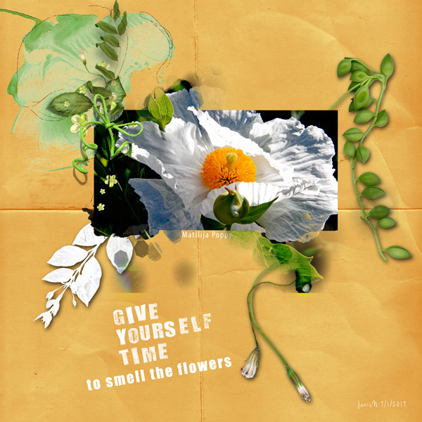Inspiration_foliage