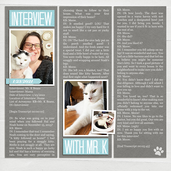 Interview With Mr. K