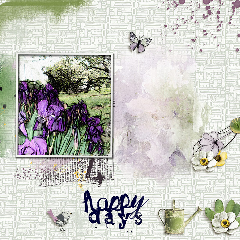 Iris