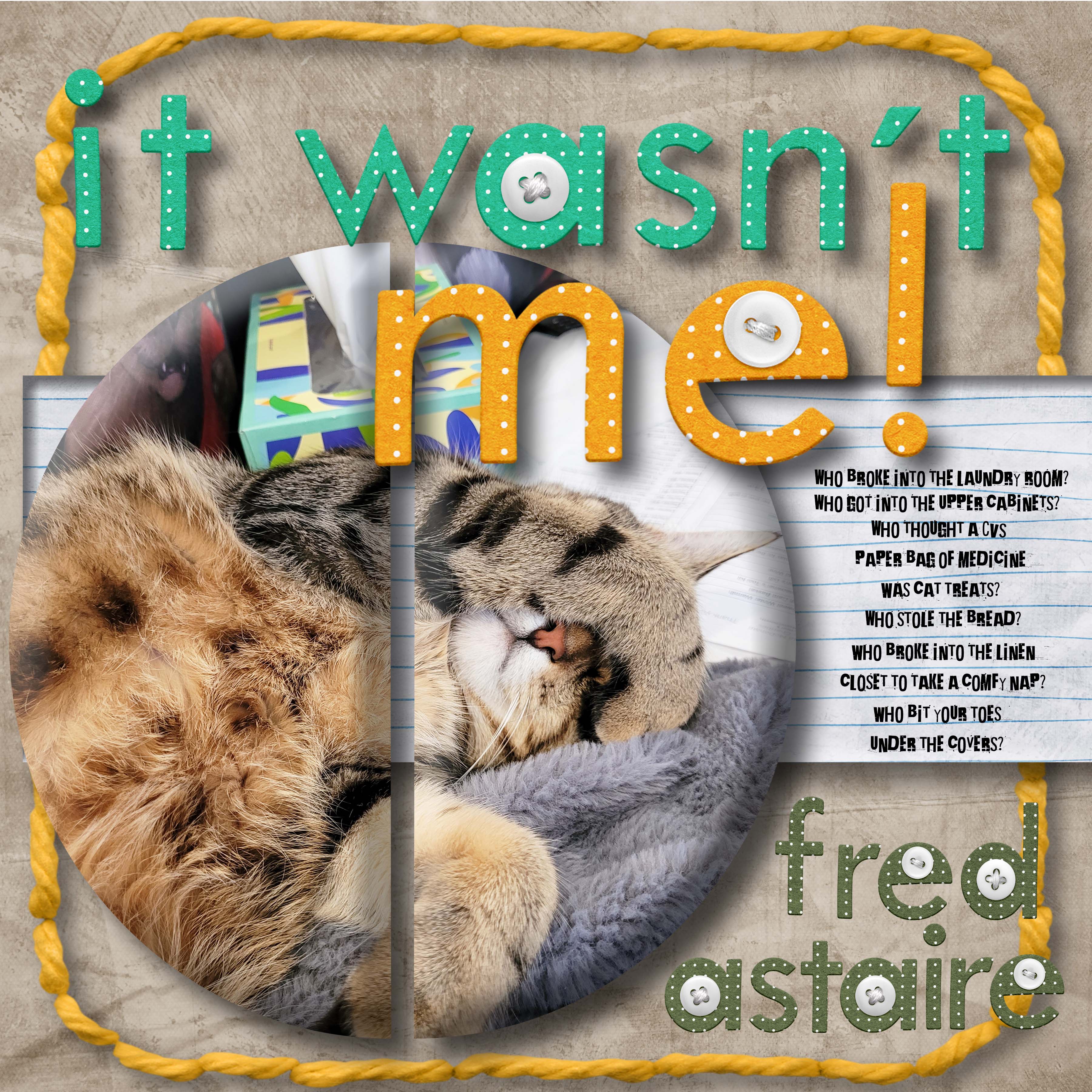 It Wasn't Me!.jpg