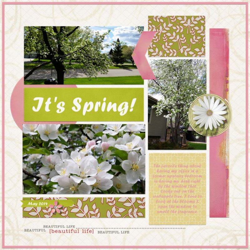It's Spring!