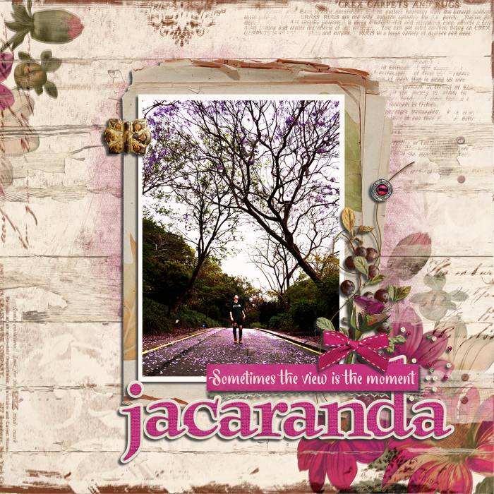 Jacaranda