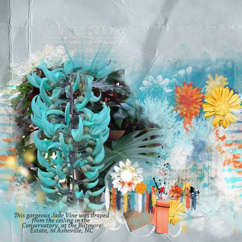 Jade Vine