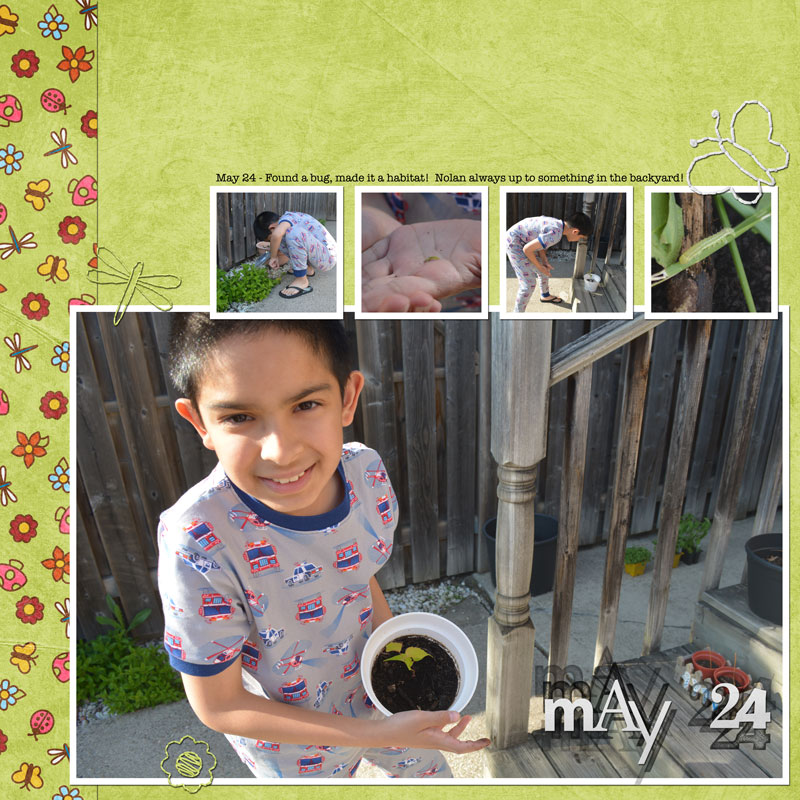 Jagruti-Patel---SOSN-May-8-2024
