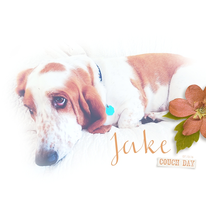 Jake