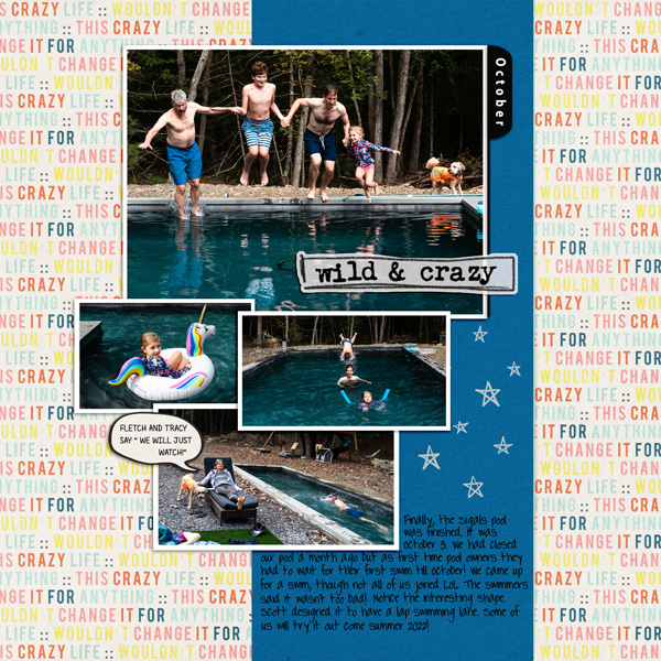 jan 1 blind scrap