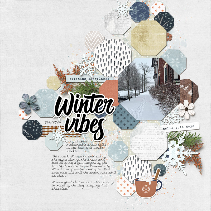 Jan 19 - Winter Vibes