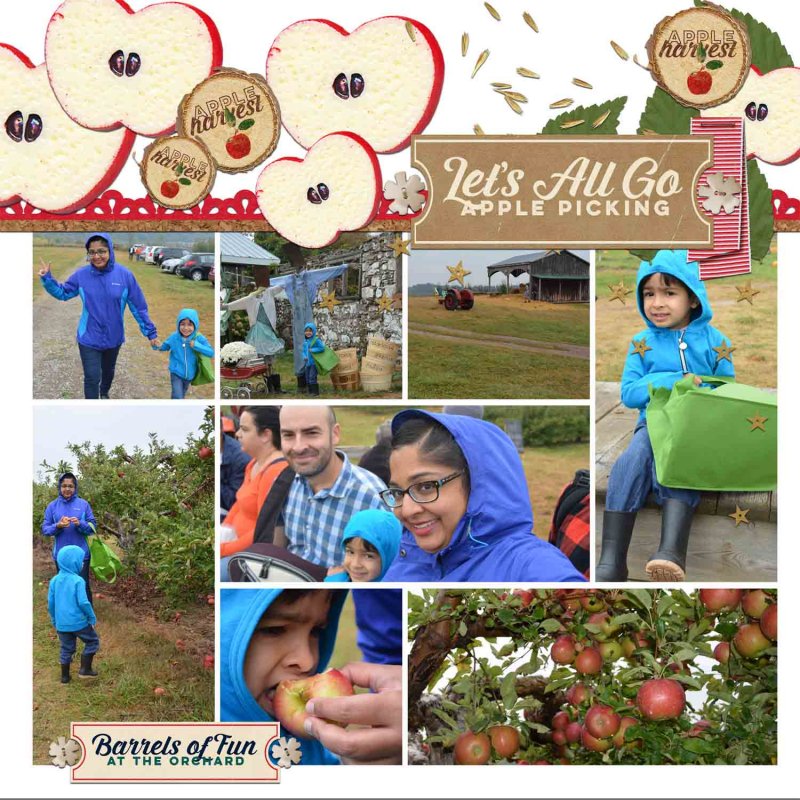 Jan 2018 SWL MIS