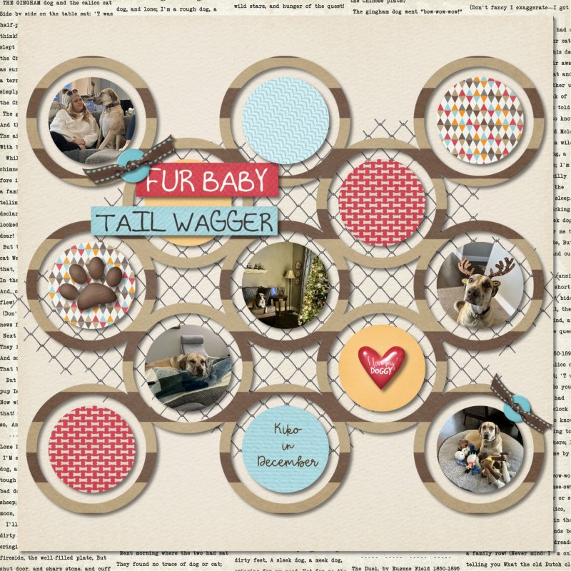 Jan 2024 MIS Template Challenge - Fur Baby Dog