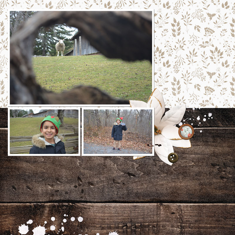 Jan-29-2013-Photo-Exercise-Framing
