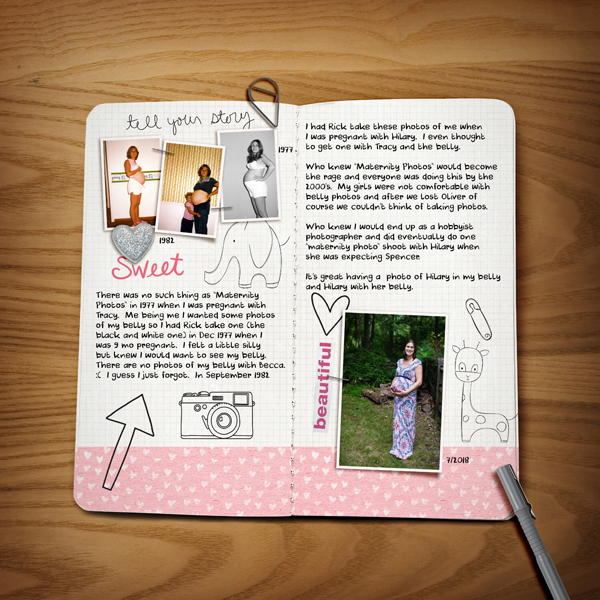 jan 31 travelers notebook