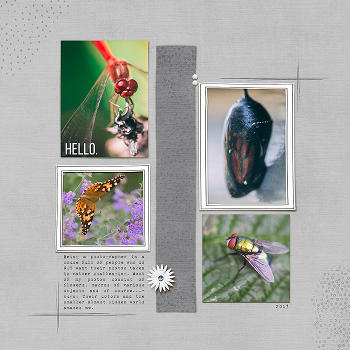 Jan 5 People-Less Page