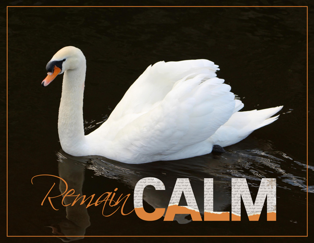 Jan-6-Torn-Title--Remain-Calm