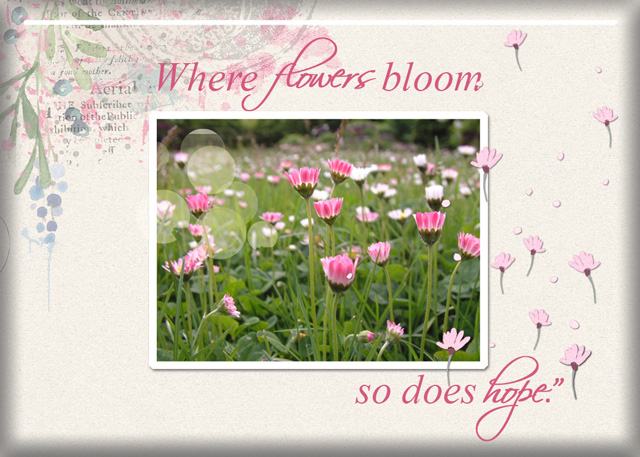 Jan-9-Bokeh-Effect--ATC-2021-004-Where-Flowers-Bloom