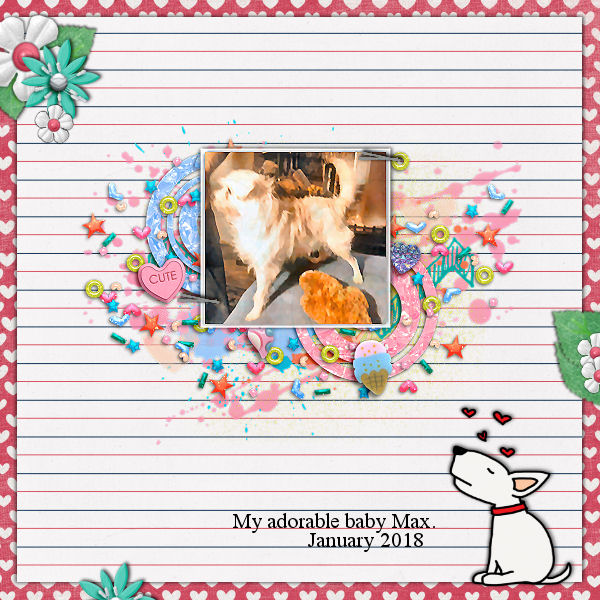 Jan Max 2018