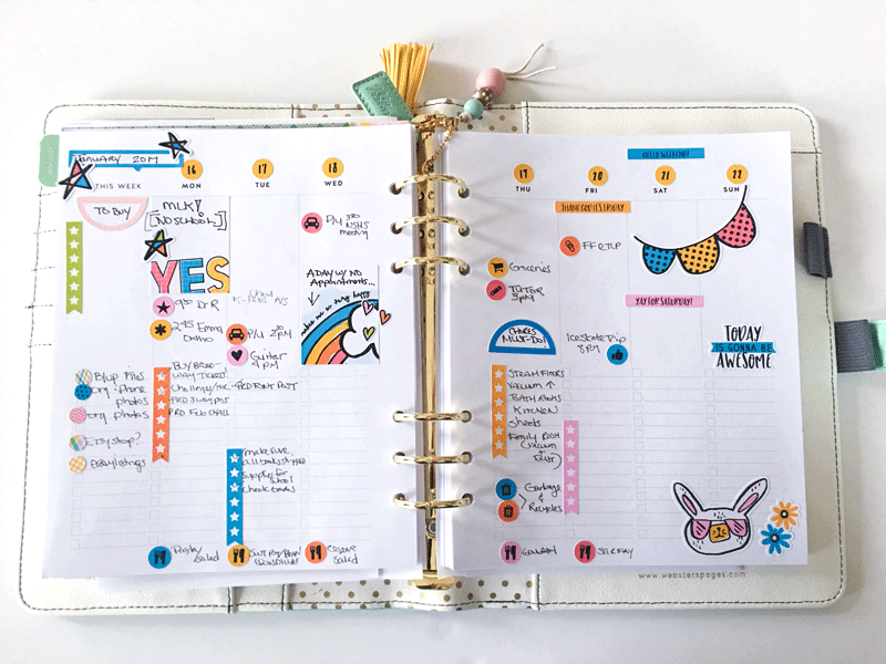 Jan Planner ST 2017