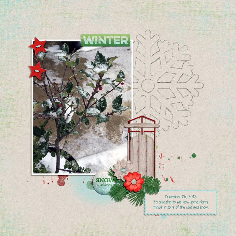 JANUARY 1: BLIND SCRAP