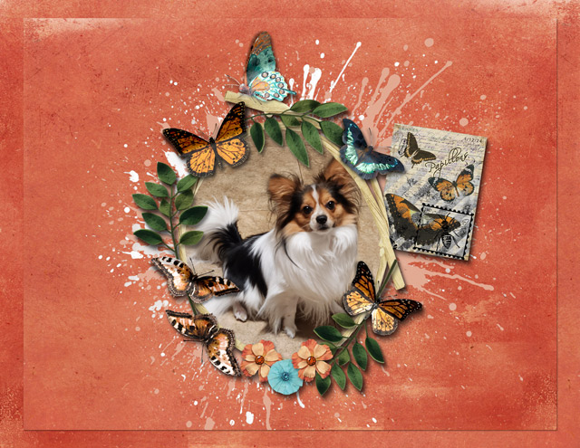 January-12---Everything-Connected---Papillons