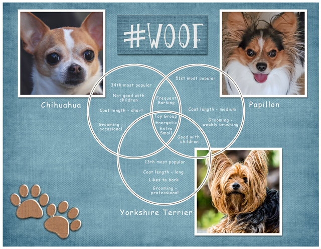 January-13---Venn-Diagram---#Woof