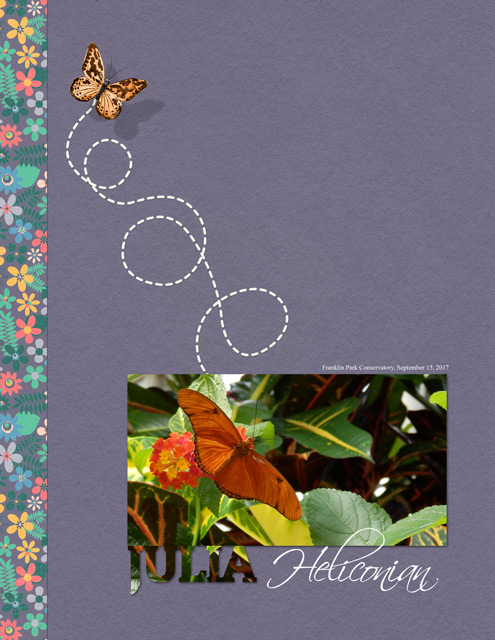January 14: Clean & Simple with Texture -Julia-Heliconian