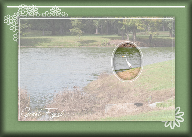 January 15: Vellum Over Photo - ATC-2020-006-Great-Egret