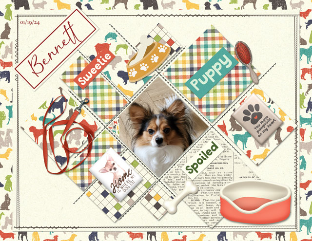 January-19---Paper-2-Digi---Bennett