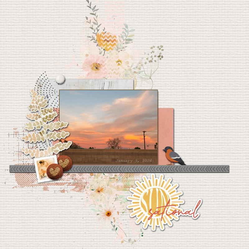 January 19  Paper 2 Digi Resize