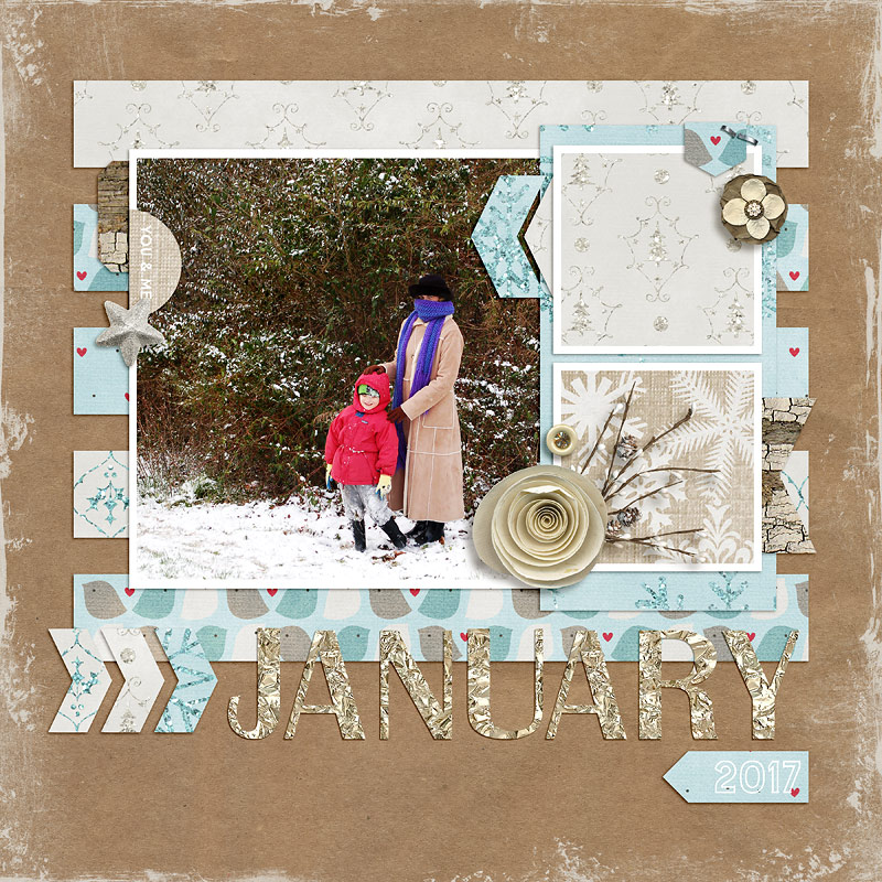 January 2017 Calendar 12x12