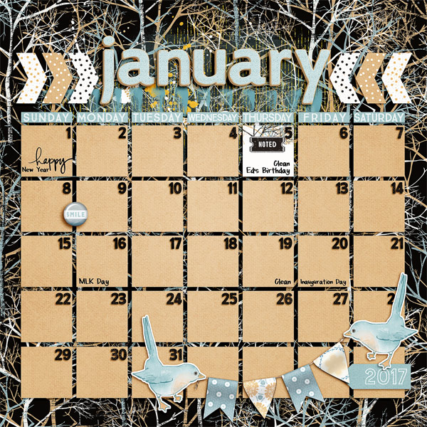 January 2017 Calender