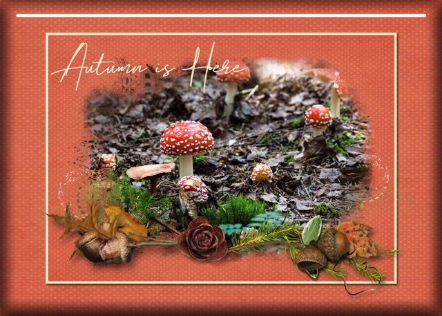 January 21: Organic Botanicals -ATC-2020-011-Autumn-is-Here