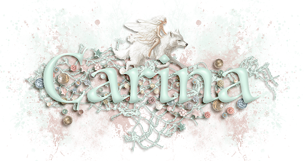 January-25 Signature