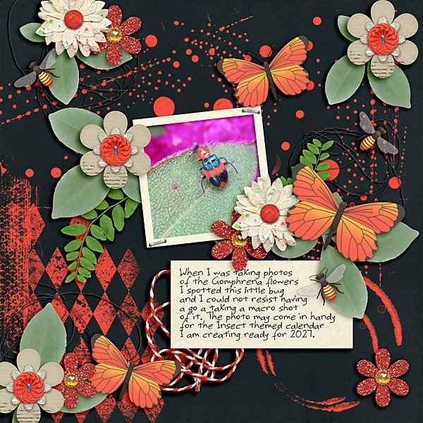 January 29 - Filled Template - Little Bug