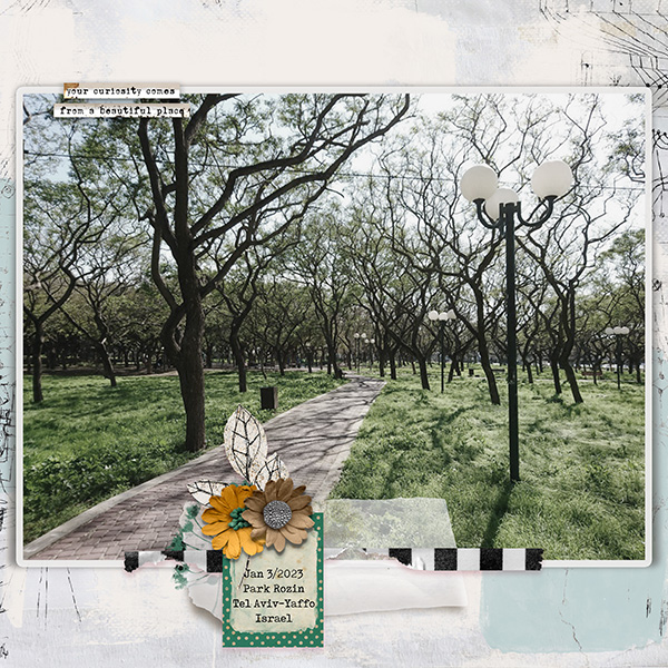 January 3 - Photography Challenge