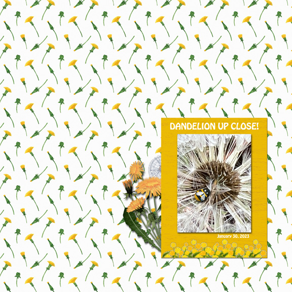 January 30 Clean And Simple MOC 11 8x8
