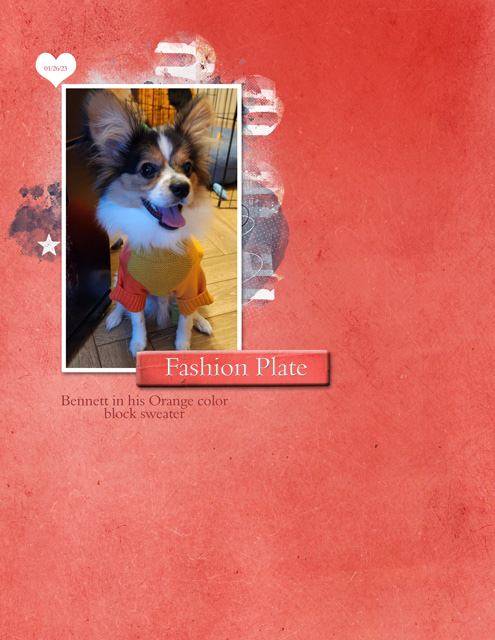 January-30---Clean-&-Simple---Fashion-Plate