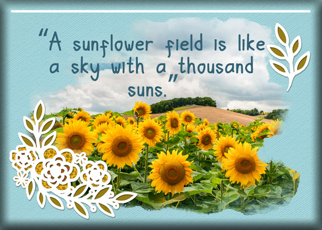 January 30: Cut File - ATC-2020-017-A-Sunflower-Field