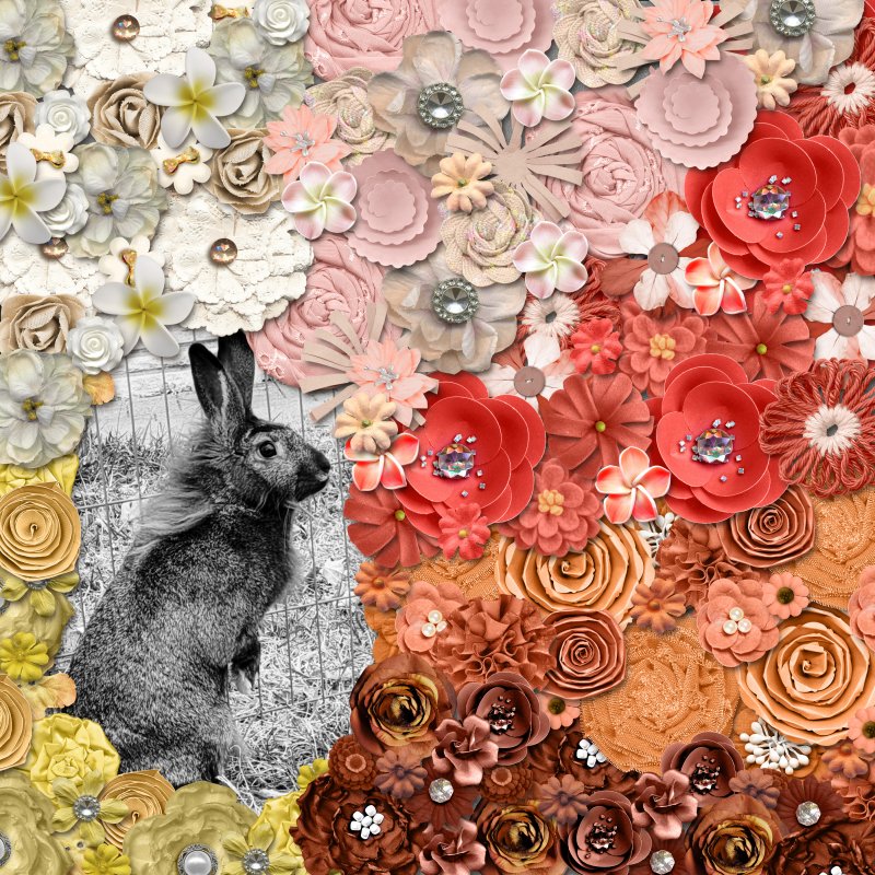 January 4: Flower Power