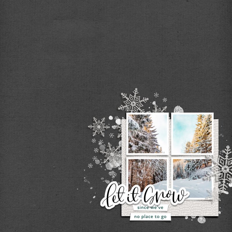 January 5 [Fill a Fourth]
